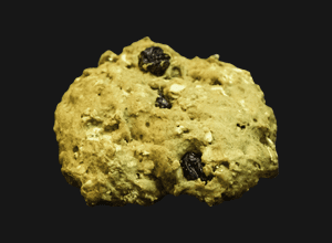 Galleta de avena